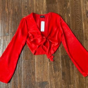 Urban Outfitters Red Silk Tie Crop Top